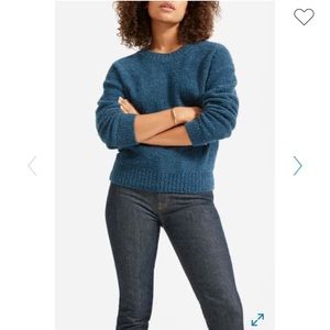 Everlane the teddy wool blend crew neck sweater
